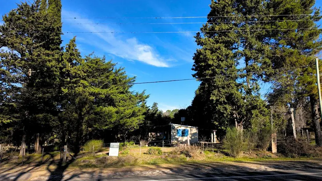 Ruta de acceso y pinos frente a la propiedad en venta en Athos Pampa, Valle de Calamuchita, Córdoba