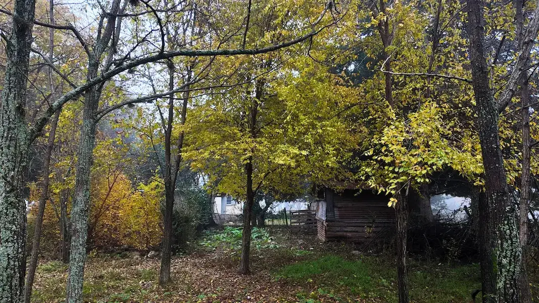 Sector arbolado del terreno de 5.146 m² en venta en Athos Pampa, Valle de Calamuchita, Córdoba, con follaje otoñal