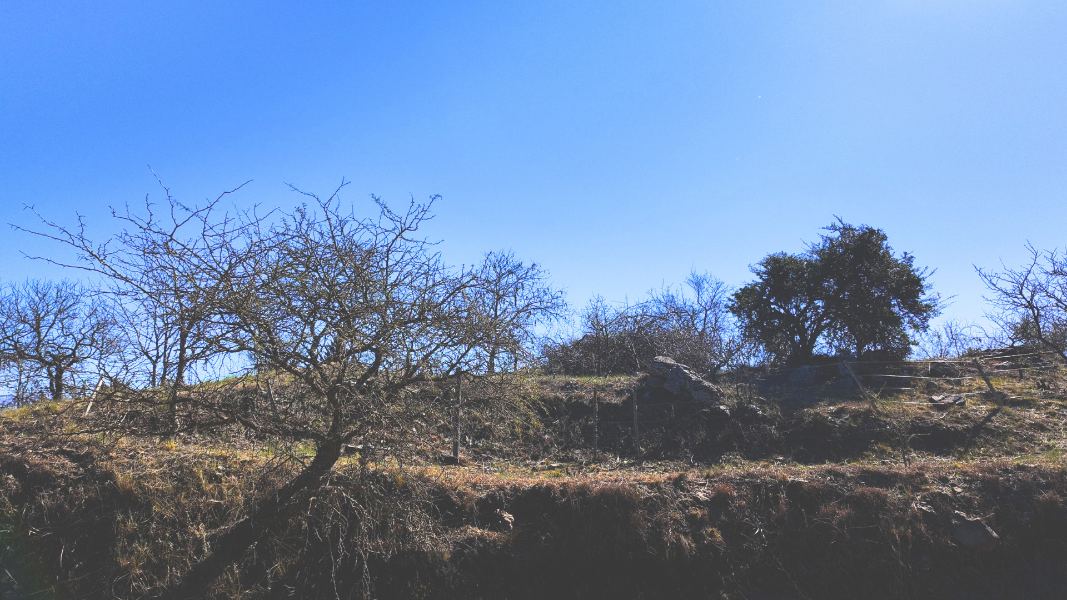 Cinco lotes contiguos: 2.353 m² con vistas a las Sierras en Nahuascat – foto 4